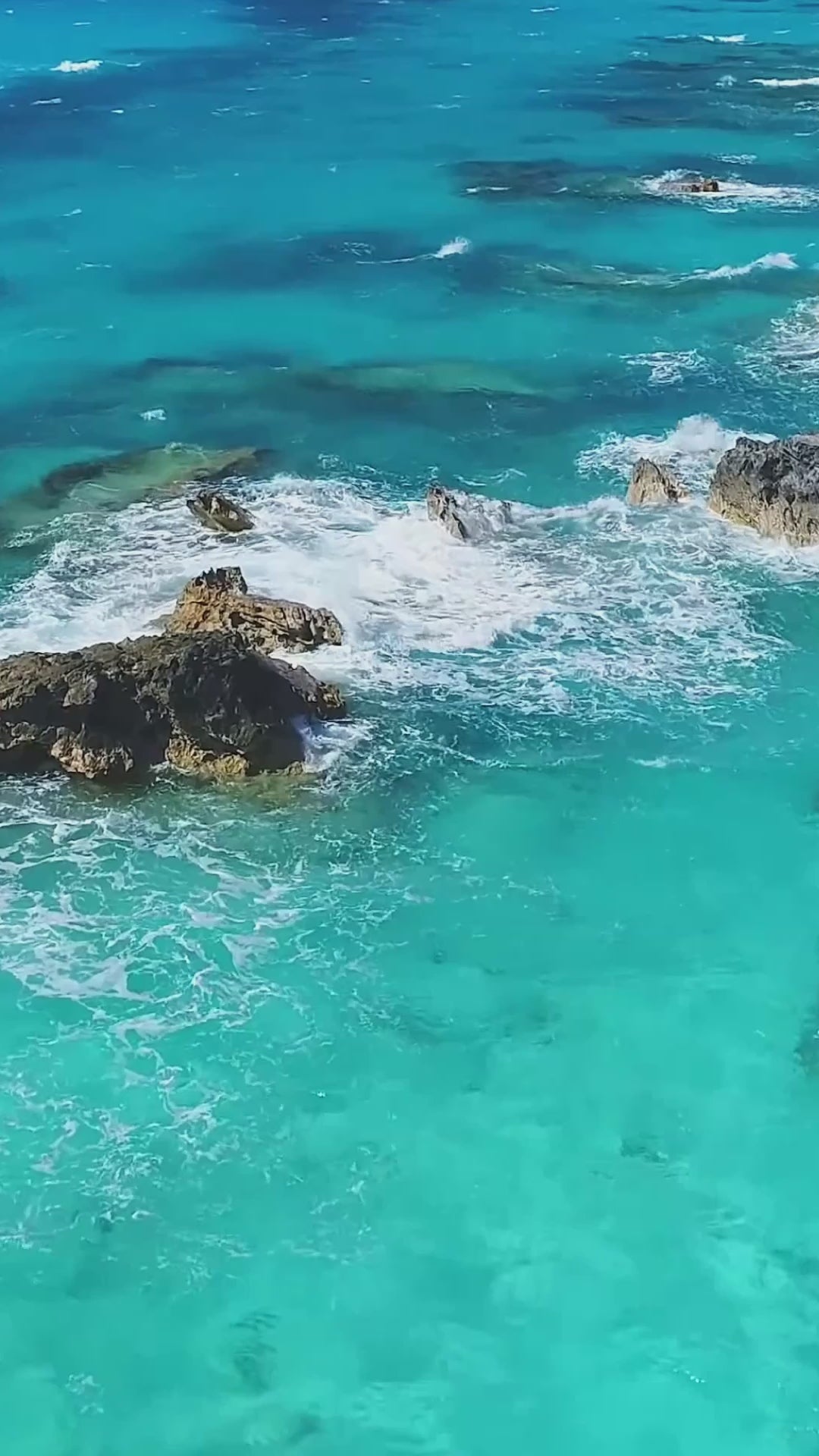 【乳液】fasc sureve emulsion 100ml 乳液】fasc sureve emulsion 100ml 乳液】fasc sureve emulsion 100ml