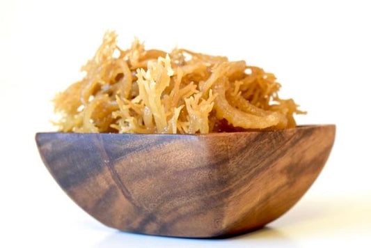 Jamaican Sea Moss